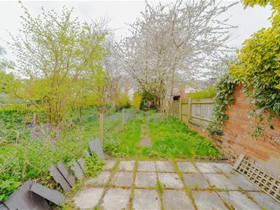 Picture 24